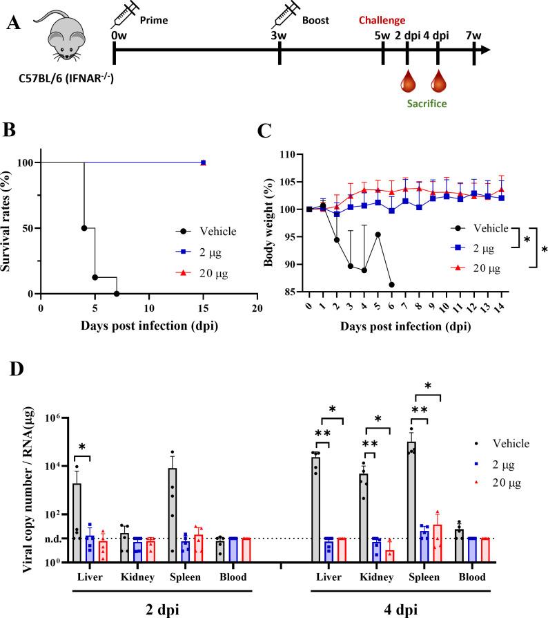 https://cdn.ncbi.nlm.nih.gov/pmc/blobs/ee1a/12068709/2f6a155466b8/pntd.0012999.g004.jpg