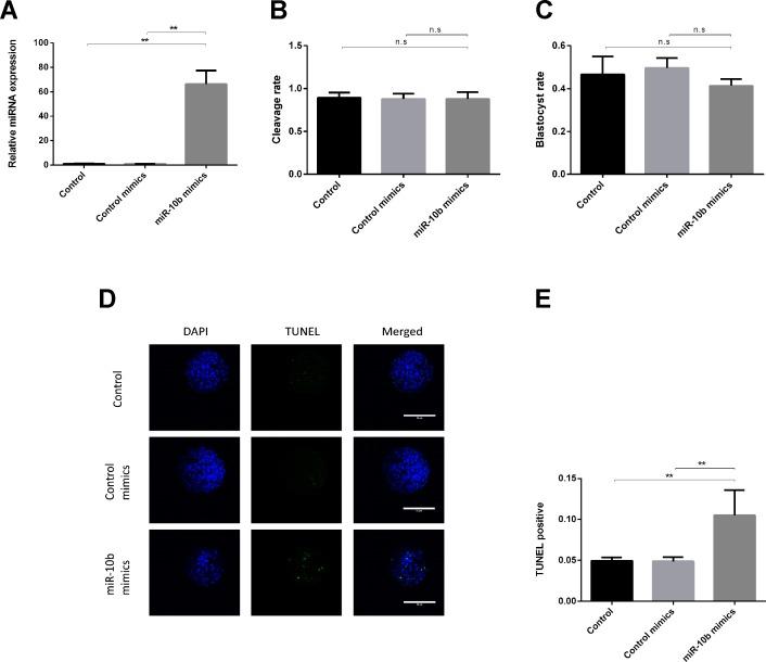 https://cdn.ncbi.nlm.nih.gov/pmc/blobs/ee1a/6713719/01e1a18e166e/fgene-10-00757-g001.jpg