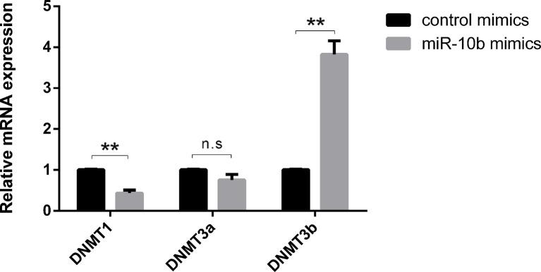 https://cdn.ncbi.nlm.nih.gov/pmc/blobs/ee1a/6713719/ceec1be54c84/fgene-10-00757-g003.jpg