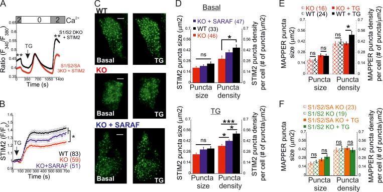 https://cdn.ncbi.nlm.nih.gov/pmc/blobs/ee1a/8562847/b5a857734a32/JCB_202104007_Fig3.jpg