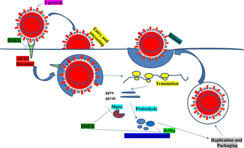 https://cdn.ncbi.nlm.nih.gov/pmc/blobs/ee1b/8560077/dd823f020d67/DDDT-15-4447-g0001.jpg