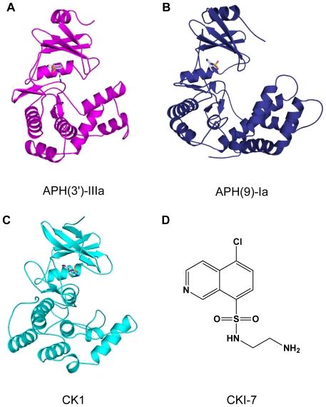 https://cdn.ncbi.nlm.nih.gov/pmc/blobs/ee21/3090406/f7fff1ab622f/pone.0019589.g001.jpg