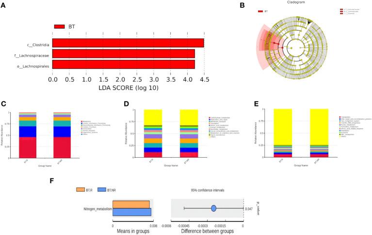 https://cdn.ncbi.nlm.nih.gov/pmc/blobs/ee22/10898591/7ac5a6385f1a/fcimb-14-1341032-g008.jpg