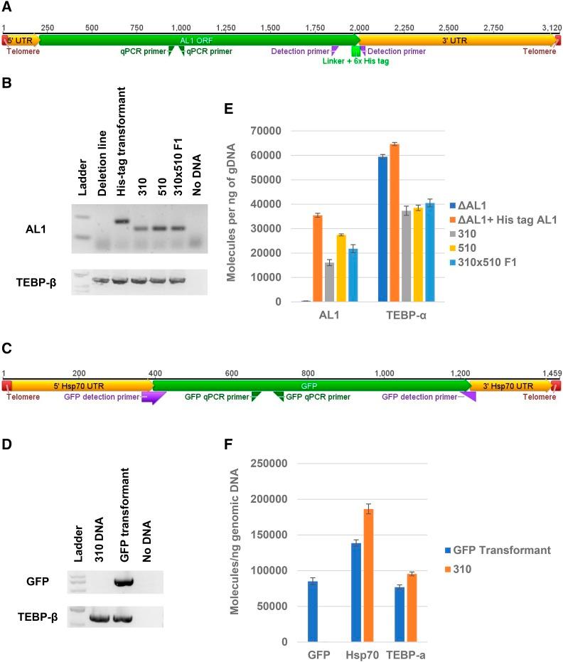 https://cdn.ncbi.nlm.nih.gov/pmc/blobs/ee25/6778790/bbefefd51083/3119f1.jpg