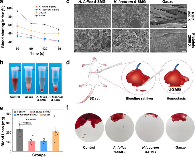 https://cdn.ncbi.nlm.nih.gov/pmc/blobs/ee25/9873654/0da43c6785ea/41467_2023_35907_Fig4_HTML.jpg