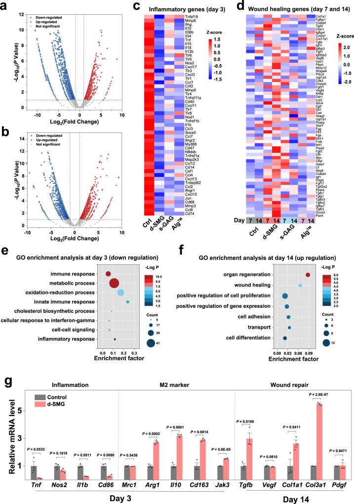 https://cdn.ncbi.nlm.nih.gov/pmc/blobs/ee25/9873654/44958dc380b2/41467_2023_35907_Fig8_HTML.jpg