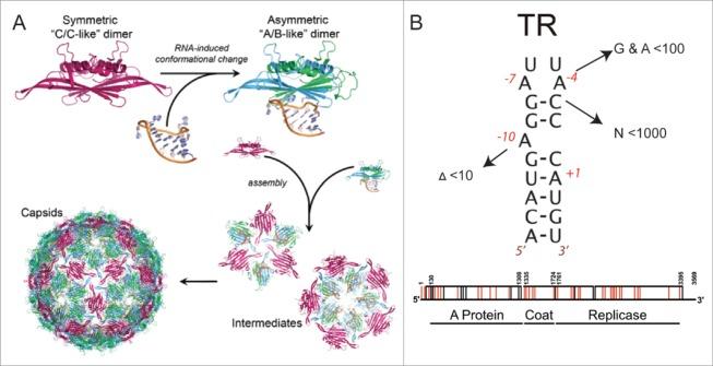 https://cdn.ncbi.nlm.nih.gov/pmc/blobs/ee29/4836477/61b474c1f226/kbac-06-01-1157666-g002.jpg