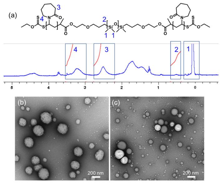 https://cdn.ncbi.nlm.nih.gov/pmc/blobs/ee29/9182360/82cca9957657/molecules-27-03485-g002.jpg