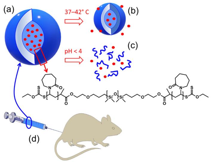 https://cdn.ncbi.nlm.nih.gov/pmc/blobs/ee29/9182360/c595ac0a477f/molecules-27-03485-g001.jpg