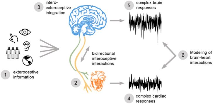 https://cdn.ncbi.nlm.nih.gov/pmc/blobs/ee29/9846460/afc5864443b1/ga1.jpg