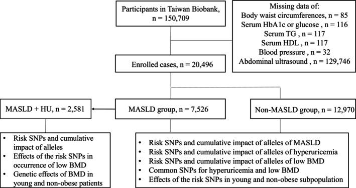 https://cdn.ncbi.nlm.nih.gov/pmc/blobs/ee2a/12199583/1be61e4579a2/KJM2-41-e70017-g004.jpg