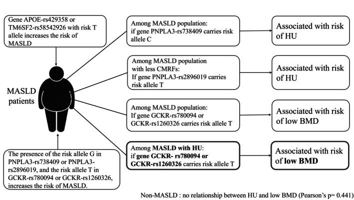 https://cdn.ncbi.nlm.nih.gov/pmc/blobs/ee2a/12199583/34df3d998ee6/KJM2-41-e70017-g003.jpg