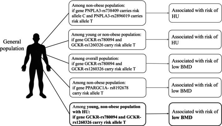 https://cdn.ncbi.nlm.nih.gov/pmc/blobs/ee2a/12199583/e84e50911839/KJM2-41-e70017-g001.jpg