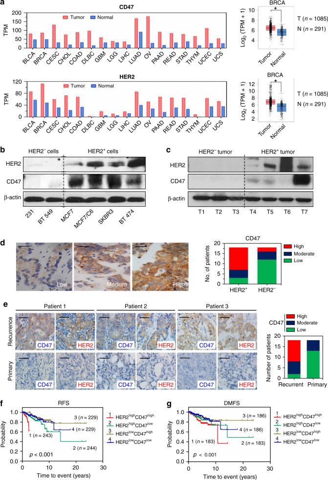 https://cdn.ncbi.nlm.nih.gov/pmc/blobs/ee2a/7490264/0cc2b53c441e/41467_2020_18245_Fig1_HTML.jpg
