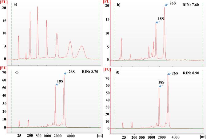 https://cdn.ncbi.nlm.nih.gov/pmc/blobs/ee2a/7547072/c7c1dd4c7f58/41598_2020_73958_Fig7_HTML.jpg
