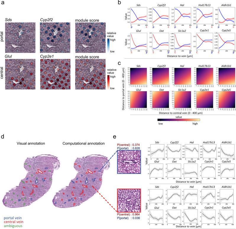 https://cdn.ncbi.nlm.nih.gov/pmc/blobs/ee2c/8640072/3b4acce81a7b/41467_2021_27354_Fig3_HTML.jpg