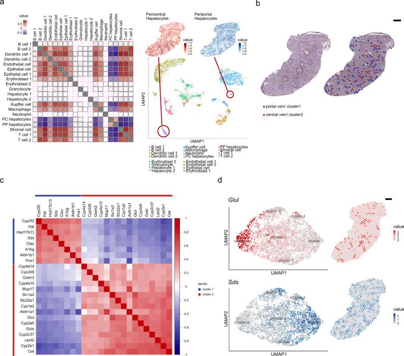 https://cdn.ncbi.nlm.nih.gov/pmc/blobs/ee2c/8640072/59d9d0c03301/41467_2021_27354_Fig2_HTML.jpg