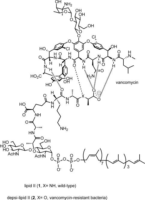 https://cdn.ncbi.nlm.nih.gov/pmc/blobs/ee32/4235313/a1ea0e1c8142/chem0019-12104-f1.jpg