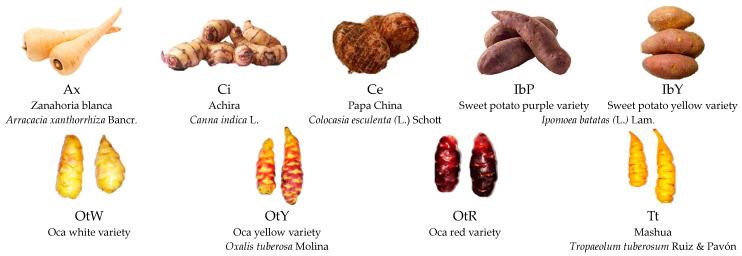 https://cdn.ncbi.nlm.nih.gov/pmc/blobs/ee33/10778556/7376b21eea54/foods-13-00051-g001.jpg
