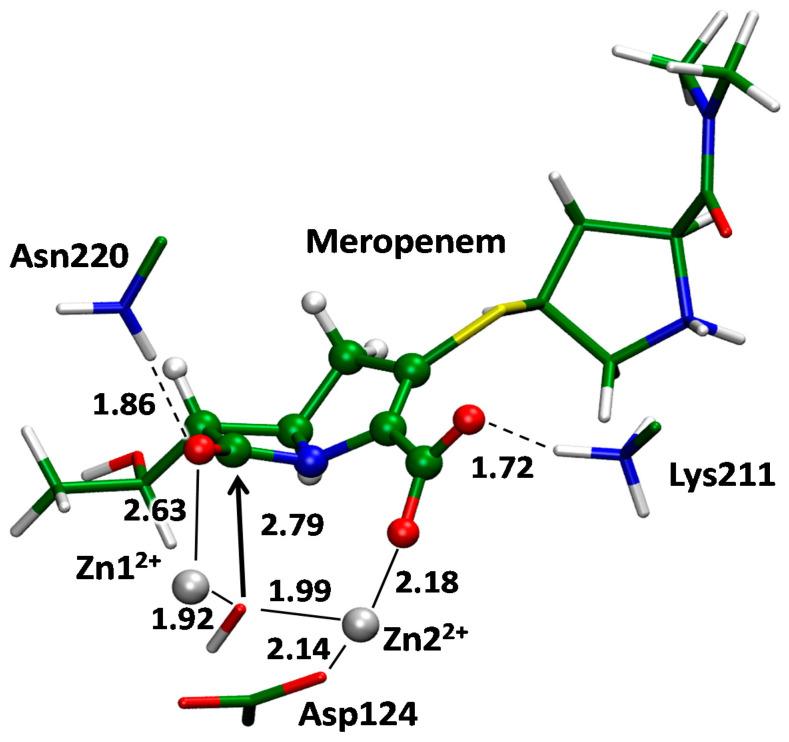 https://cdn.ncbi.nlm.nih.gov/pmc/blobs/ee33/8837113/6d878f2e9034/ijms-23-01834-g007.jpg