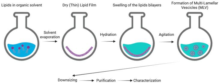 https://cdn.ncbi.nlm.nih.gov/pmc/blobs/ee35/12348261/e84e7570581f/nanomaterials-15-01149-g002.jpg