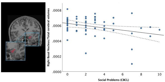https://cdn.ncbi.nlm.nih.gov/pmc/blobs/ee37/9383265/886b57d6f3ae/tgac028f1.jpg