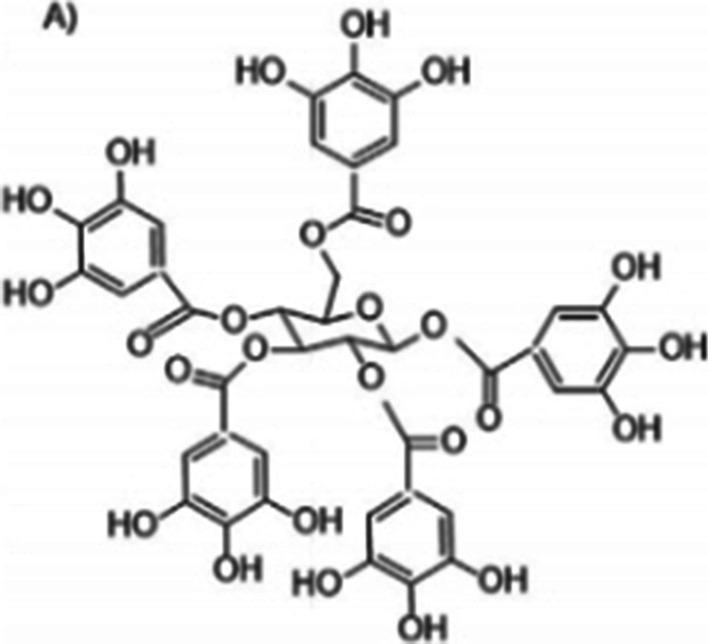 https://cdn.ncbi.nlm.nih.gov/pmc/blobs/ee39/10074368/b4acd4f80095/43094_2023_479_Fig1_HTML.jpg