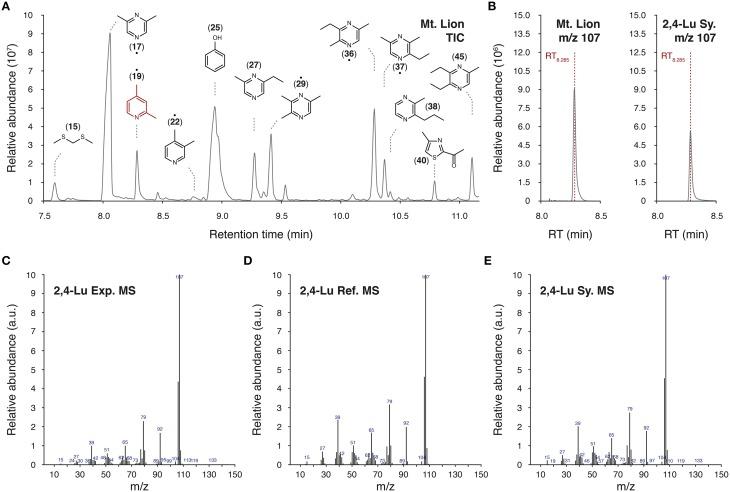 https://cdn.ncbi.nlm.nih.gov/pmc/blobs/ee39/4517376/04c5e37b3ff0/fnins-09-00253-g0002.jpg