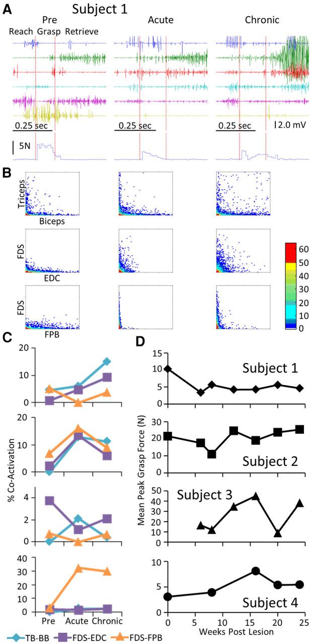 https://cdn.ncbi.nlm.nih.gov/pmc/blobs/ee3b/10291623/680a3d3e9ef1/fresc-04-1205456-g004.jpg