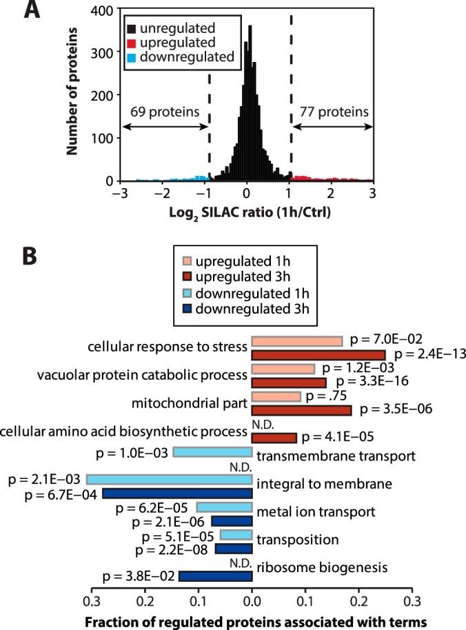 https://cdn.ncbi.nlm.nih.gov/pmc/blobs/ee3c/4125731/3b428e02b0f0/zjw0081448380002.jpg