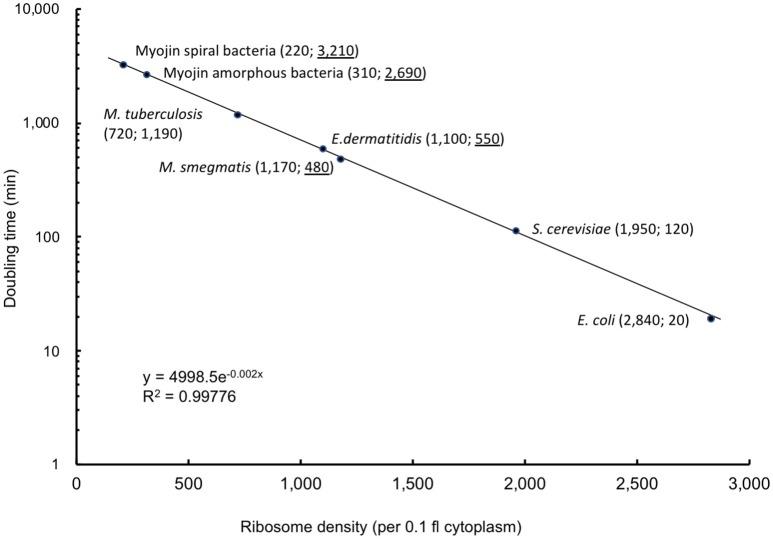 https://cdn.ncbi.nlm.nih.gov/pmc/blobs/ee3c/6145149/5cb77552d0c0/fmicb-09-01992-g0004.jpg
