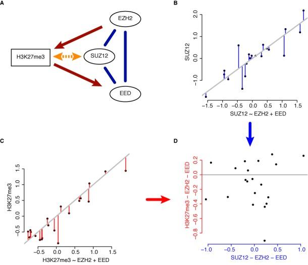 https://cdn.ncbi.nlm.nih.gov/pmc/blobs/ee3d/4267652/769874a1735a/gku1234fig5.jpg