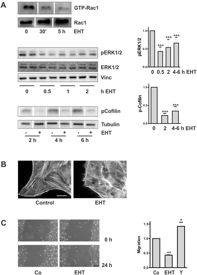 https://cdn.ncbi.nlm.nih.gov/pmc/blobs/ee3d/4376694/818b2f44b1a1/pone.0121589.g007.jpg