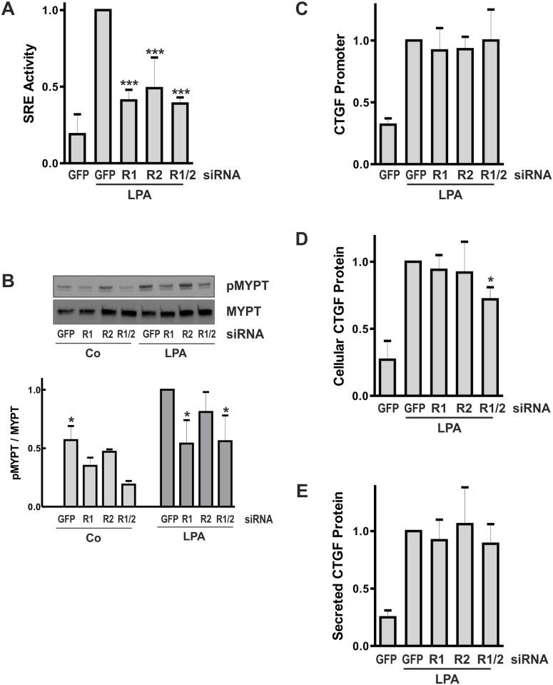 https://cdn.ncbi.nlm.nih.gov/pmc/blobs/ee3d/4376694/da153e0c784d/pone.0121589.g005.jpg