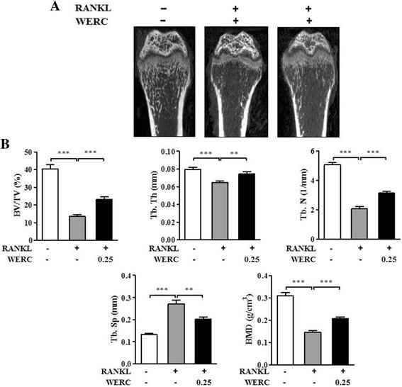 https://cdn.ncbi.nlm.nih.gov/pmc/blobs/ee3d/5657118/f845e6b30558/12906_2017_1986_Fig2_HTML.jpg