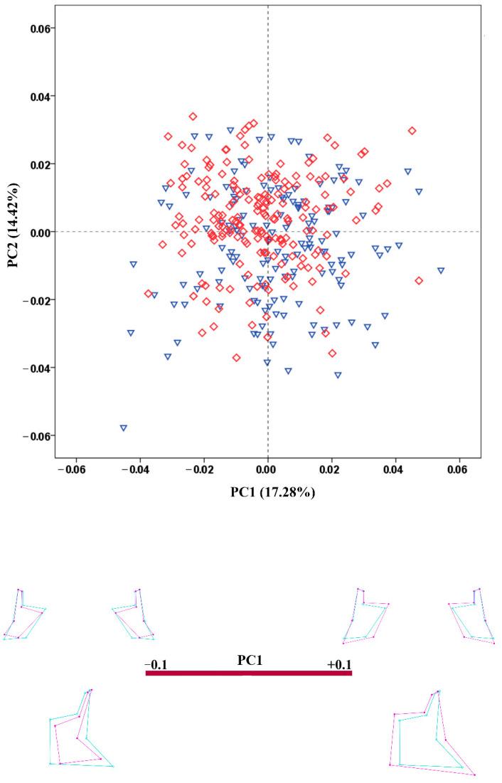 https://cdn.ncbi.nlm.nih.gov/pmc/blobs/ee3e/9495862/192eaac17f34/biology-11-01333-g007.jpg