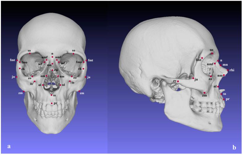 https://cdn.ncbi.nlm.nih.gov/pmc/blobs/ee3e/9495862/283129fb65a6/biology-11-01333-g001.jpg
