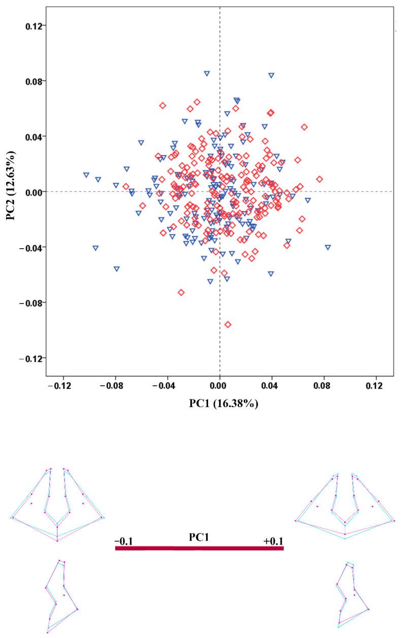 https://cdn.ncbi.nlm.nih.gov/pmc/blobs/ee3e/9495862/a30ce3bb27f9/biology-11-01333-g006.jpg