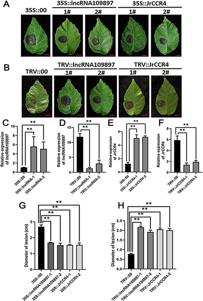 https://cdn.ncbi.nlm.nih.gov/pmc/blobs/ee3f/10541558/390300b60ab2/uhad086f4.jpg