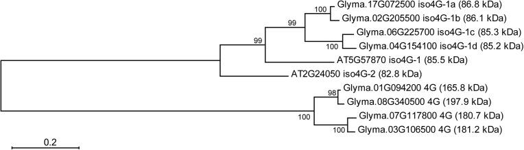 https://cdn.ncbi.nlm.nih.gov/pmc/blobs/ee3f/5840855/94497efe3b94/fpls-09-00262-g006.jpg