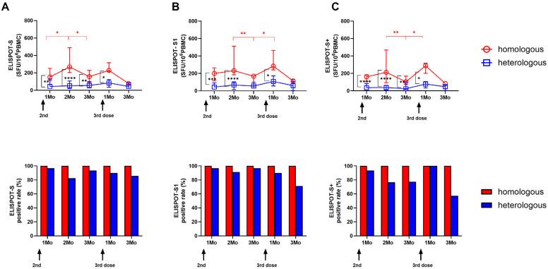 https://cdn.ncbi.nlm.nih.gov/pmc/blobs/ee41/11679843/34721681bdf8/vaccines-12-01350-g001.jpg