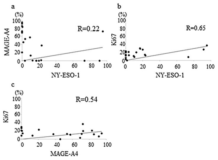 https://cdn.ncbi.nlm.nih.gov/pmc/blobs/ee41/8946957/15ac23db6f75/diagnostics-12-00733-g002.jpg