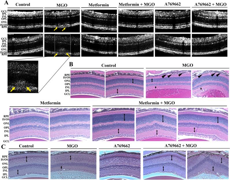 https://cdn.ncbi.nlm.nih.gov/pmc/blobs/ee43/10363482/8ed8d401b575/gr10.jpg
