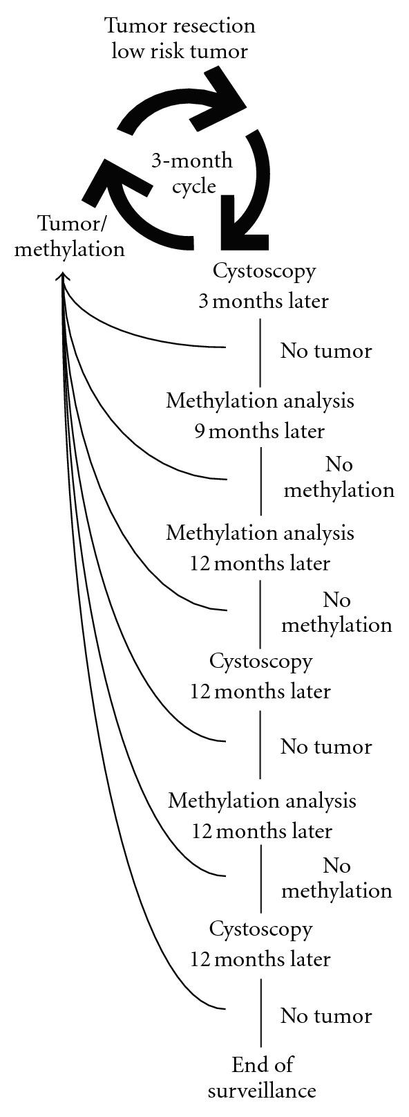 https://cdn.ncbi.nlm.nih.gov/pmc/blobs/ee44/3385670/de52b6e281fe/AU2012-503271.001.jpg