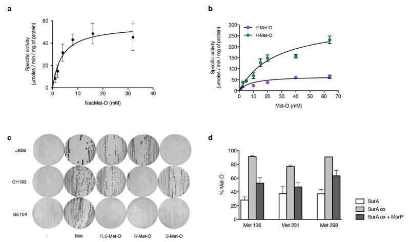 https://cdn.ncbi.nlm.nih.gov/pmc/blobs/ee46/4700593/0f19333eda6a/emss-65378-f0007.jpg
