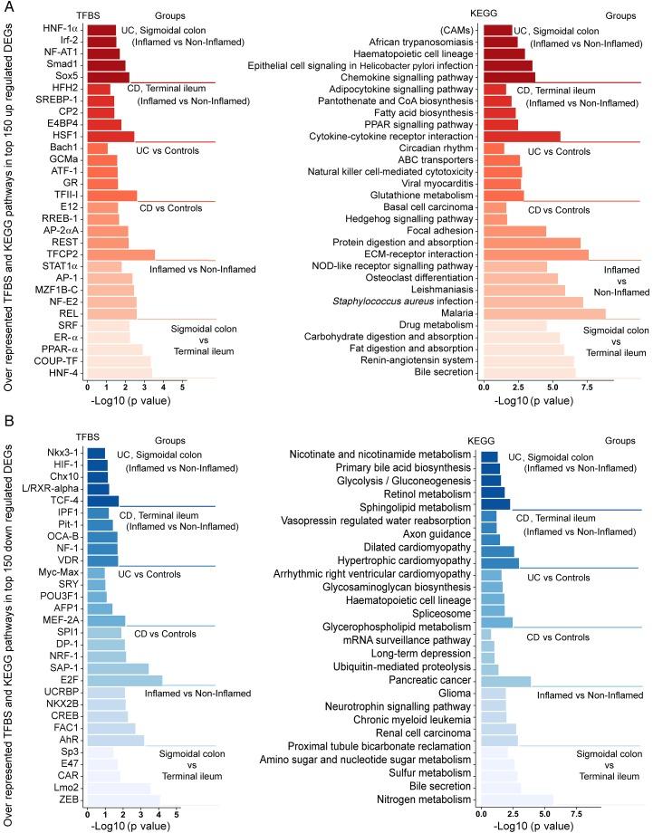 https://cdn.ncbi.nlm.nih.gov/pmc/blobs/ee49/5749366/7cc696c43049/gutjnl-2016-311651f03.jpg