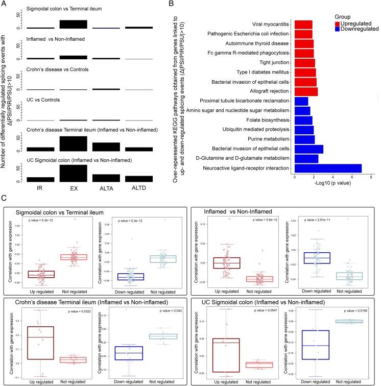 https://cdn.ncbi.nlm.nih.gov/pmc/blobs/ee49/5749366/c1c7a9085dc8/gutjnl-2016-311651f05.jpg