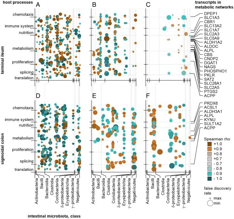 https://cdn.ncbi.nlm.nih.gov/pmc/blobs/ee49/5749366/e14e0f5e6d66/gutjnl-2016-311651f06.jpg