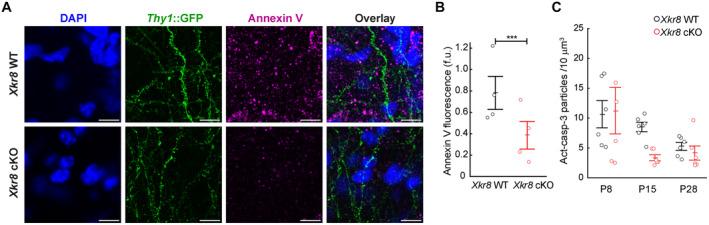 https://cdn.ncbi.nlm.nih.gov/pmc/blobs/ee4a/10350823/0f4989feebbf/EMBJ-42-e111790-g014.jpg