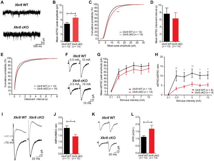 https://cdn.ncbi.nlm.nih.gov/pmc/blobs/ee4a/10350823/c2a245739ade/EMBJ-42-e111790-g013.jpg
